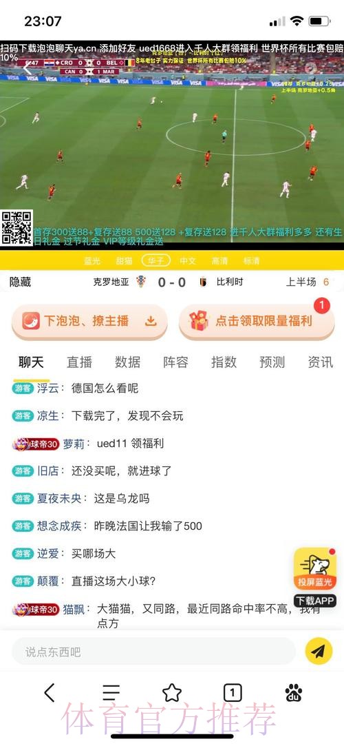 稳定平台精选：世界杯投注指南